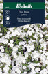 Flox vit Phlox