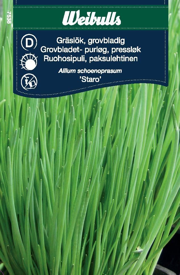 Gräslök extra grov