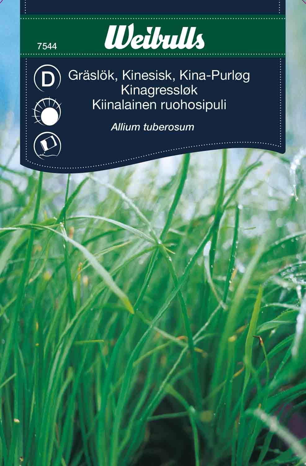 Gräslök, Kinesisk