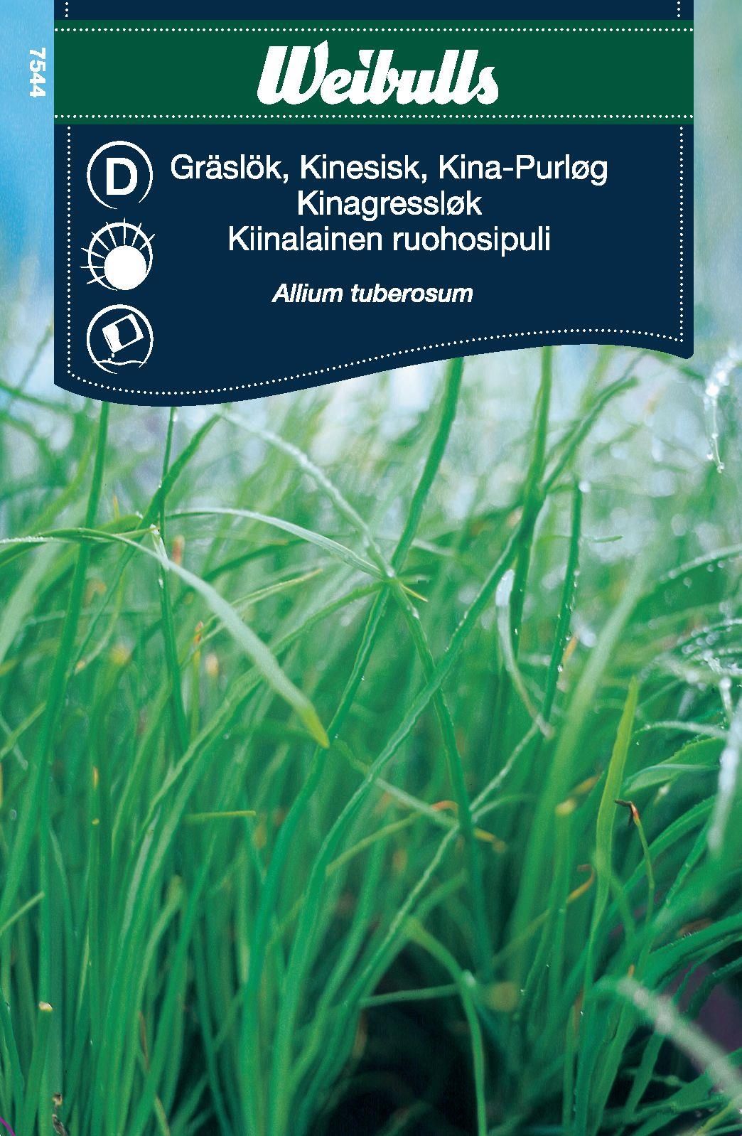 Gräslök, Kinesisk