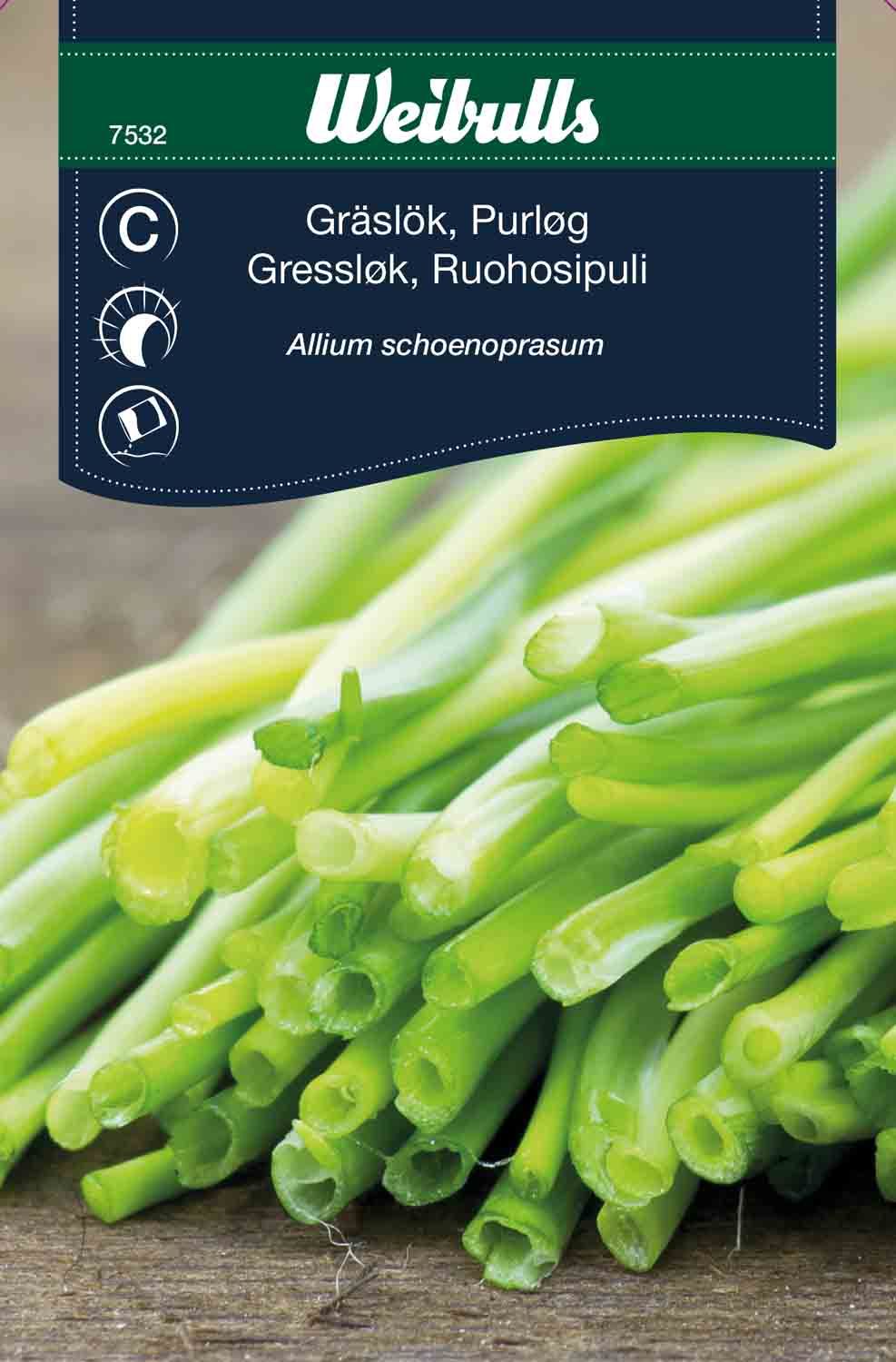 Gräslök vanl.finbl.