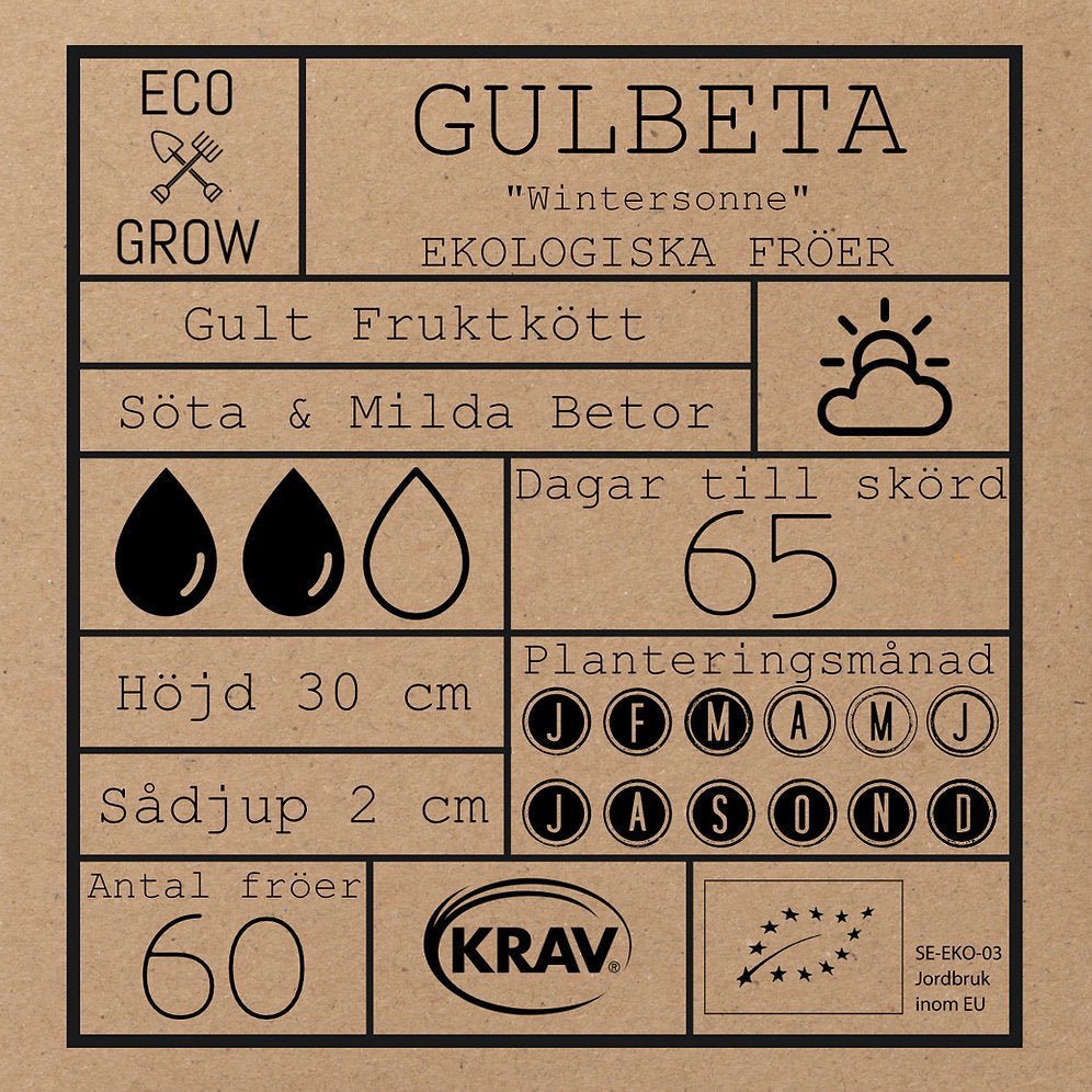 Gulbeta