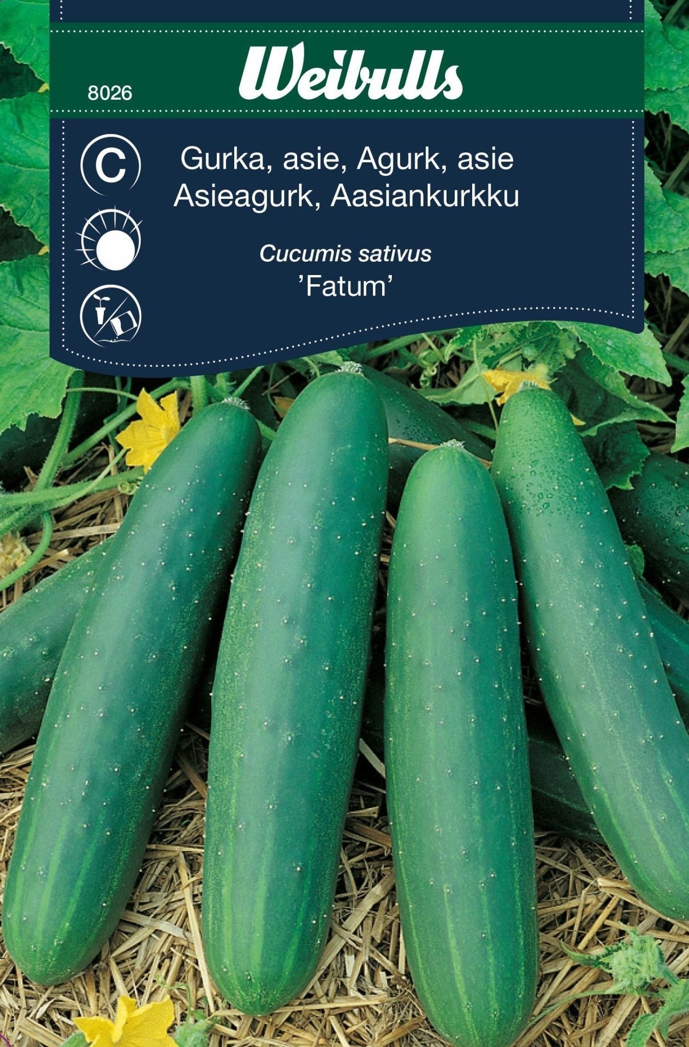 Gurka, asie-