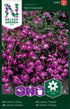 Hänglobelia