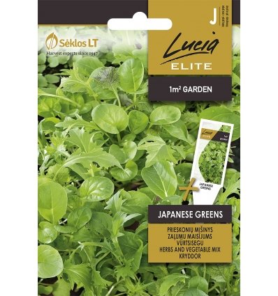 Herbs