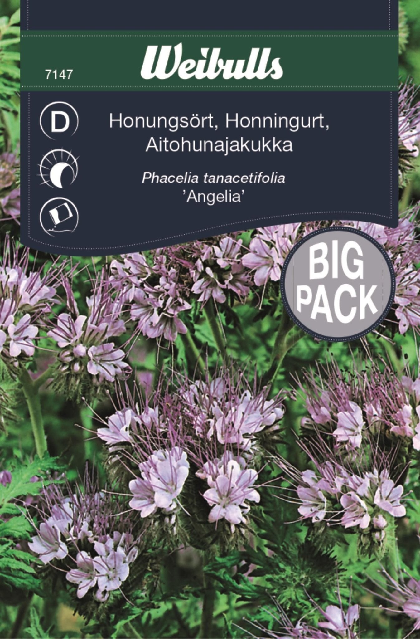 Honungsört storport