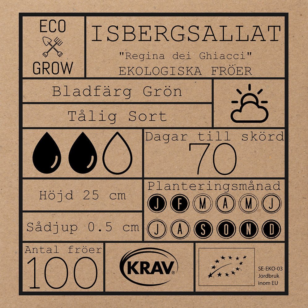 Isbergssallat