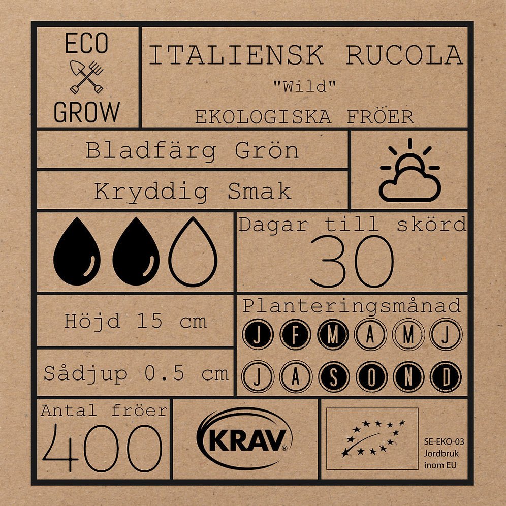 Italiensk rucola