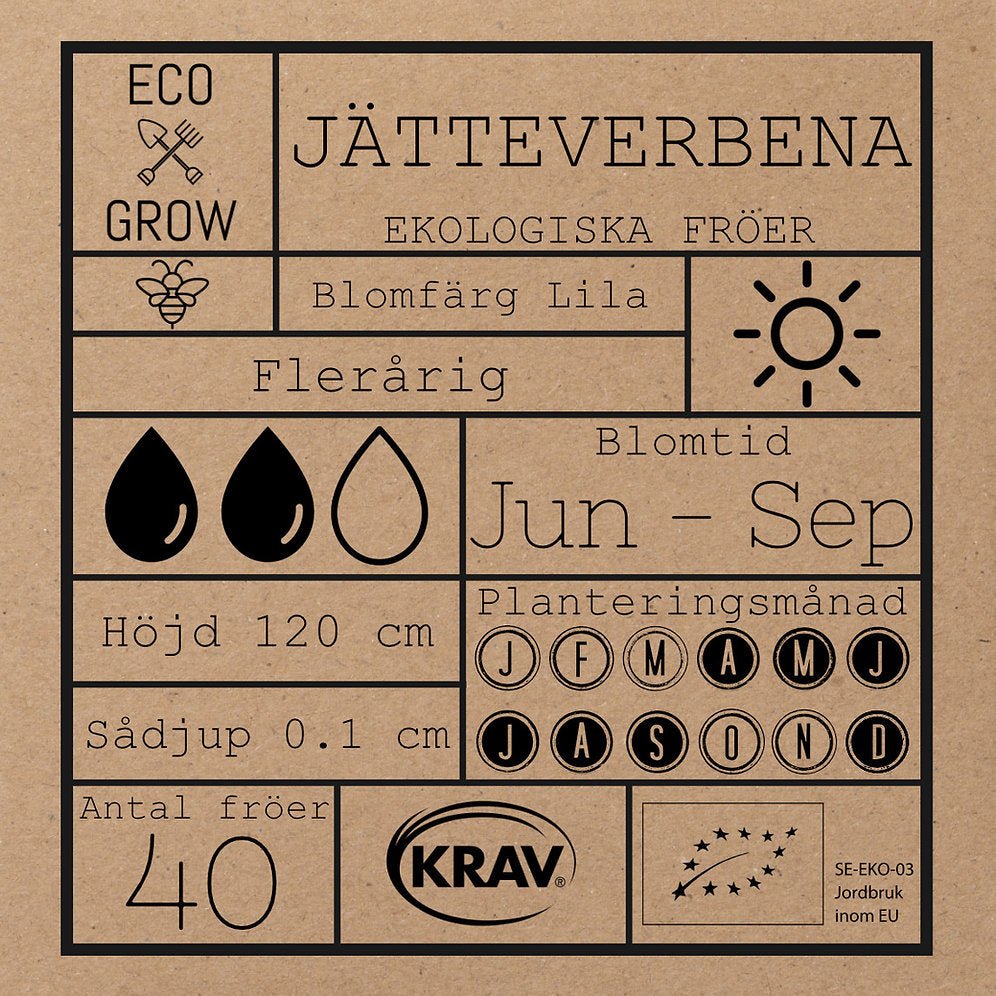 Jätteverbena