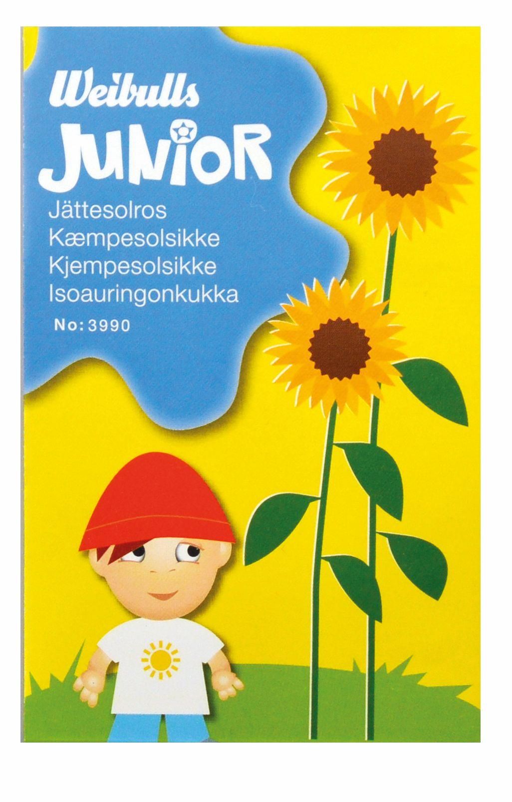 Junior jättesolros