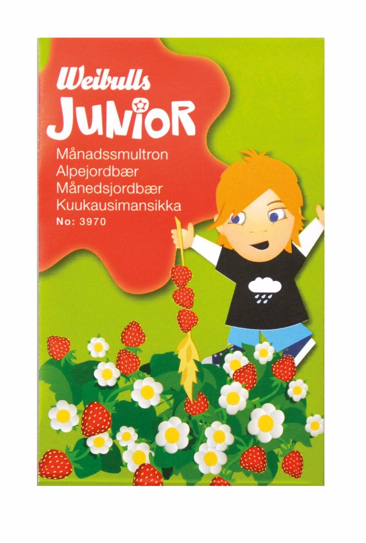 Junior månadssmultron