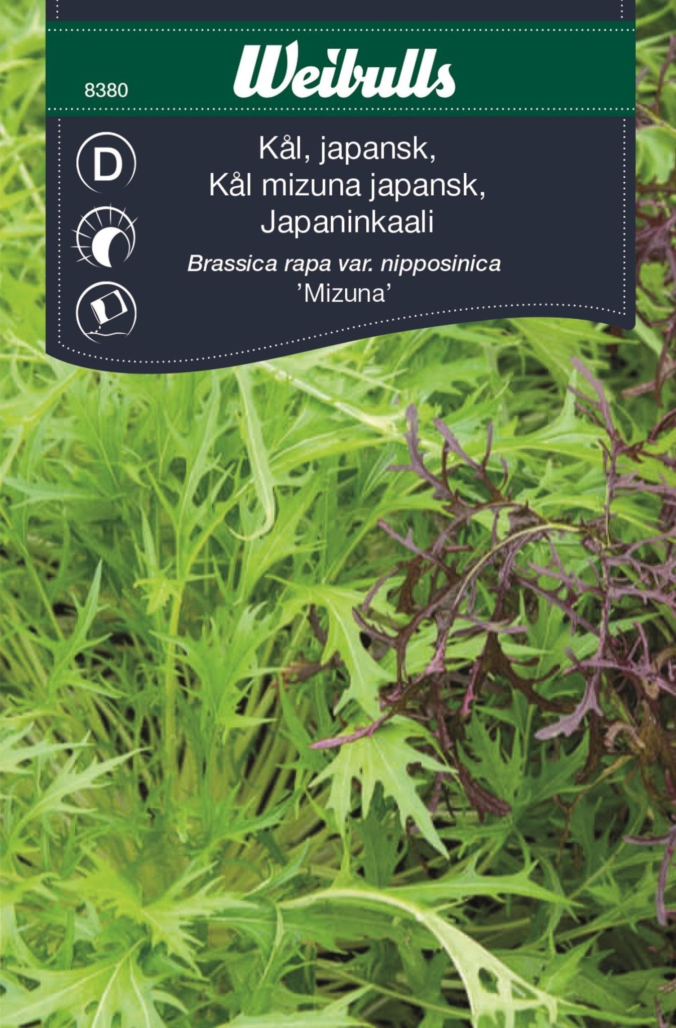 Kål, Asiatisk
