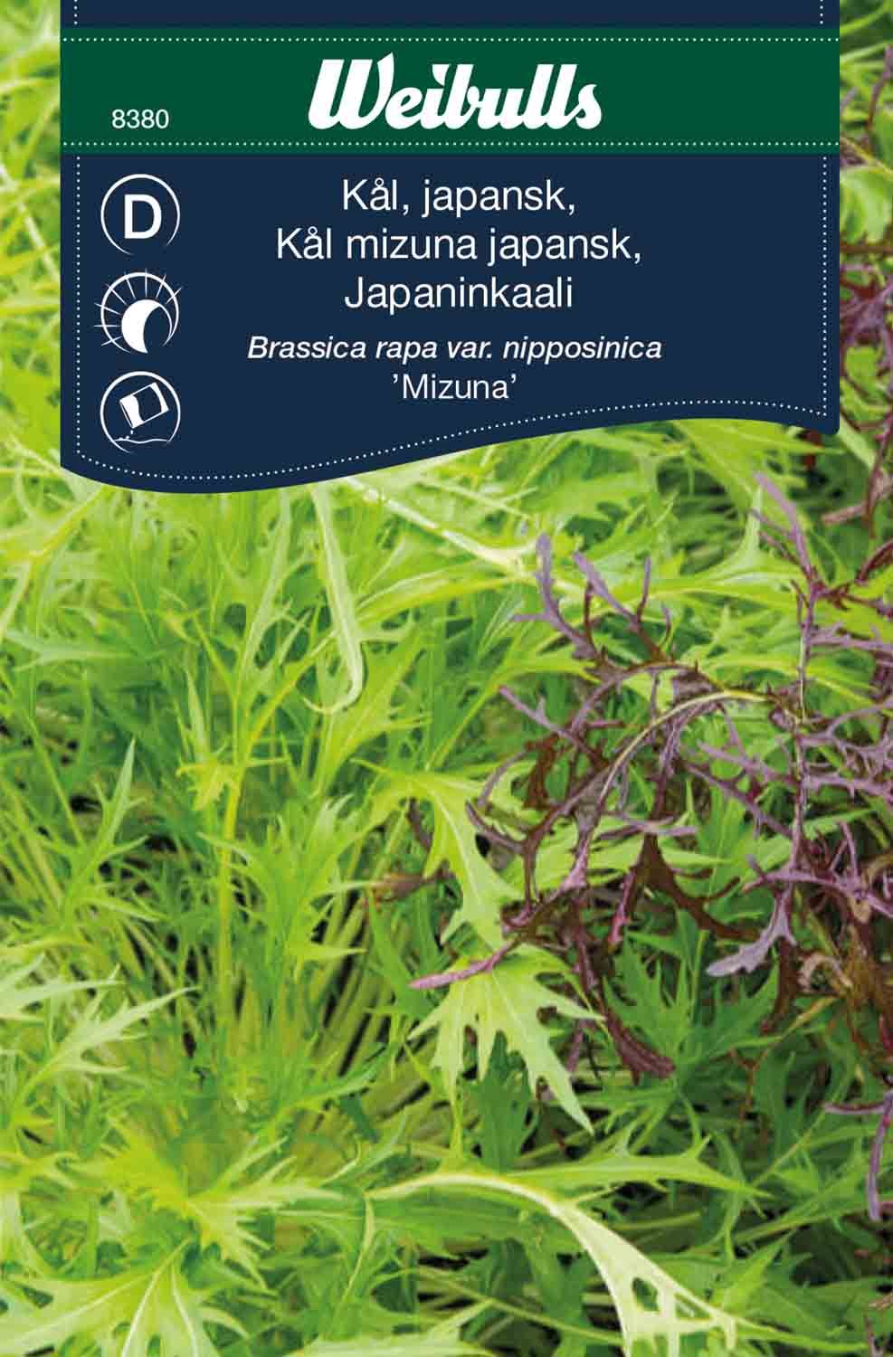 Kål, Asiatisk