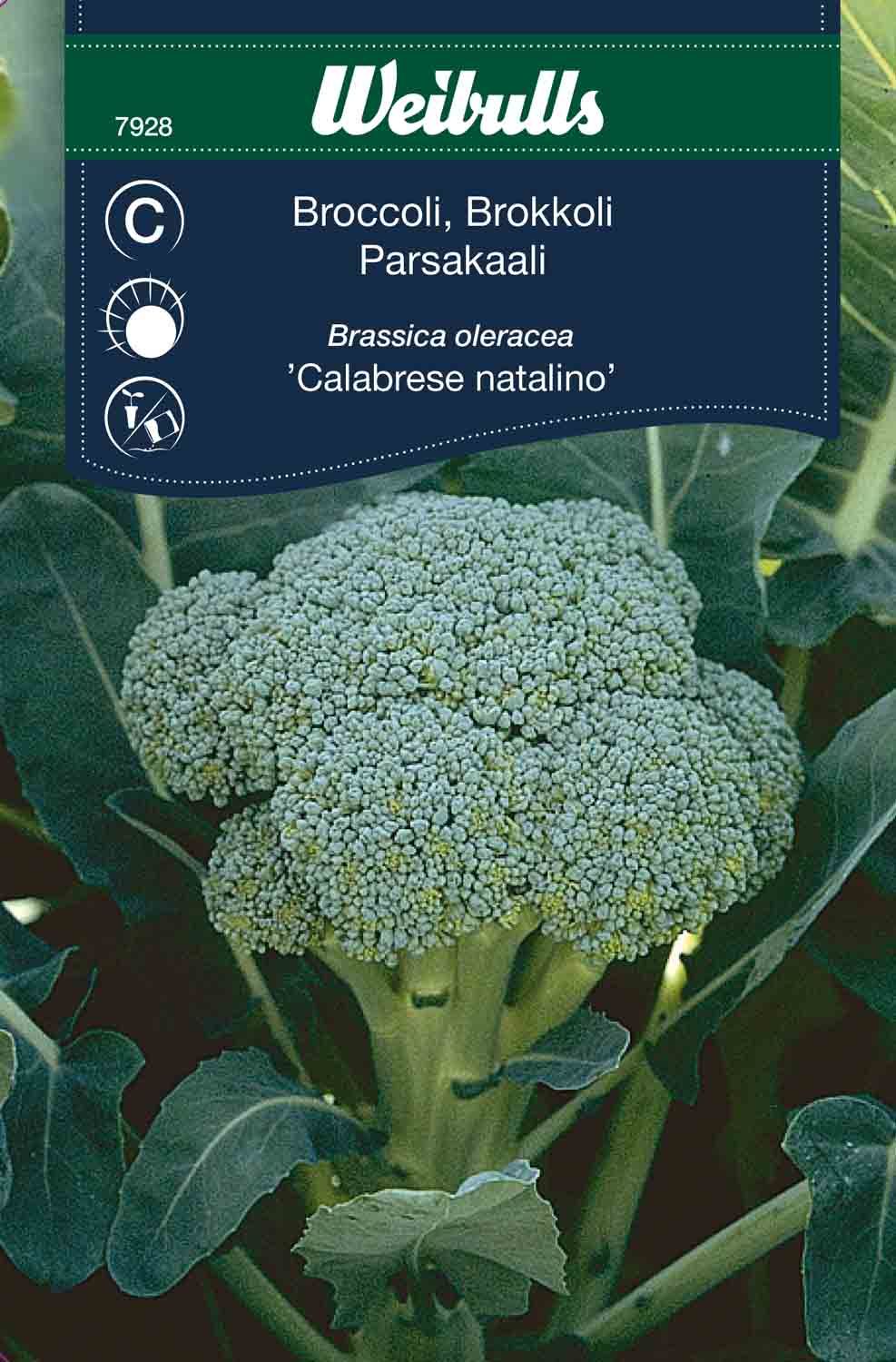 Kål, Broccoli