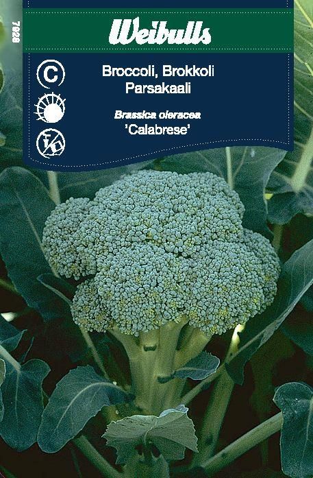 Kål, Broccoli