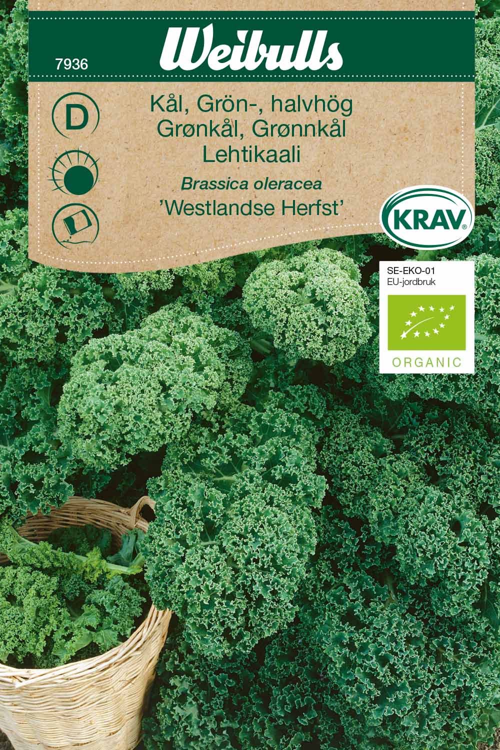 Kål, grön- KRAV