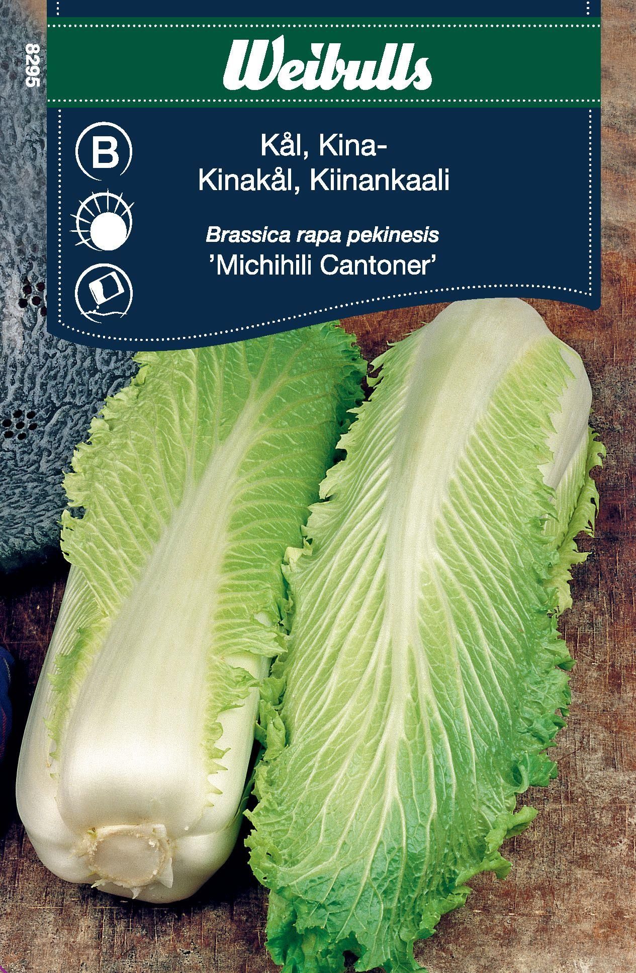 Kål, kinakål Michili Brassica rapa pekinesis