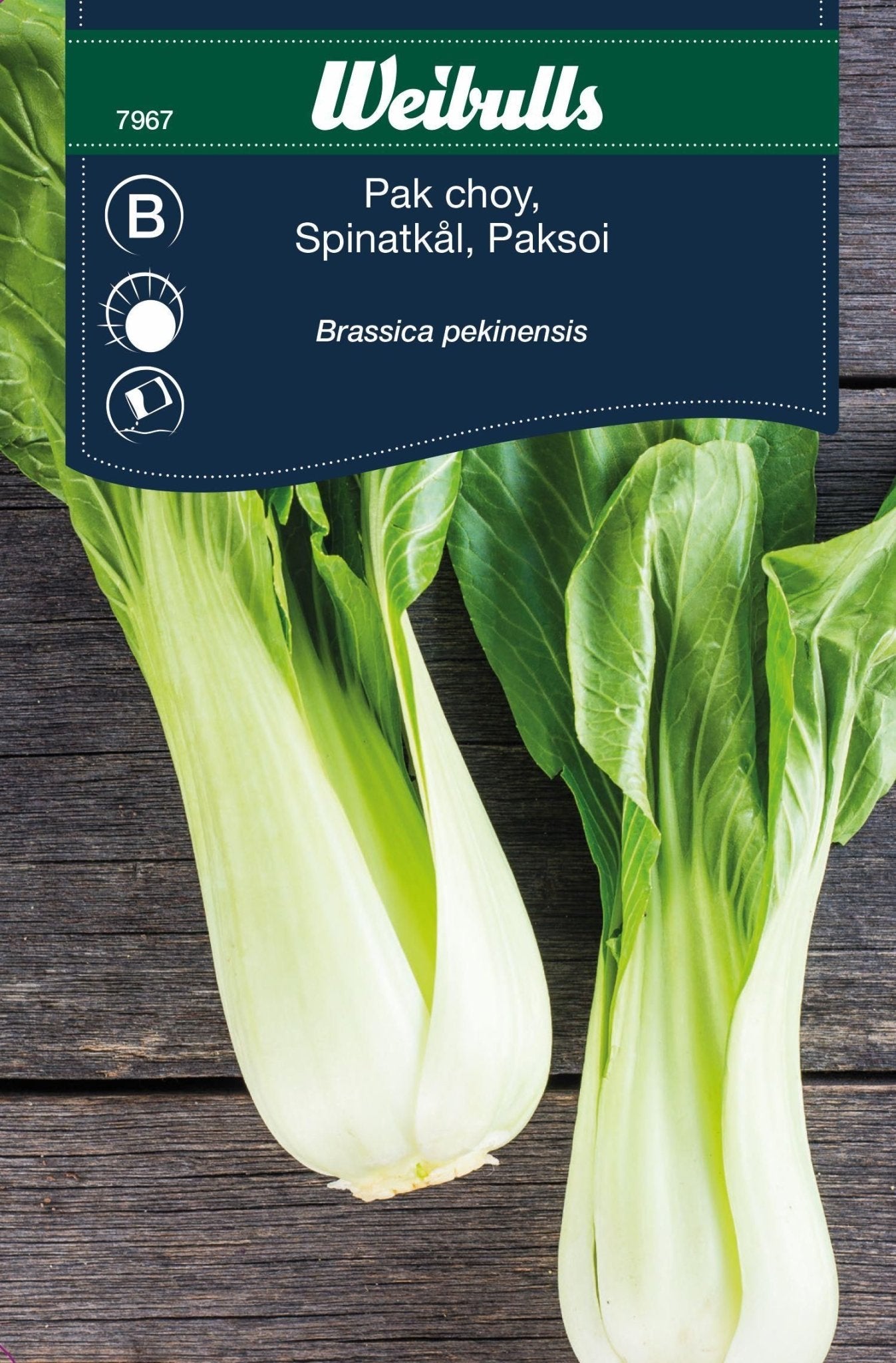 Kål, Pak choi
