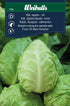 Kål, Spets- vit Brassica oleracea