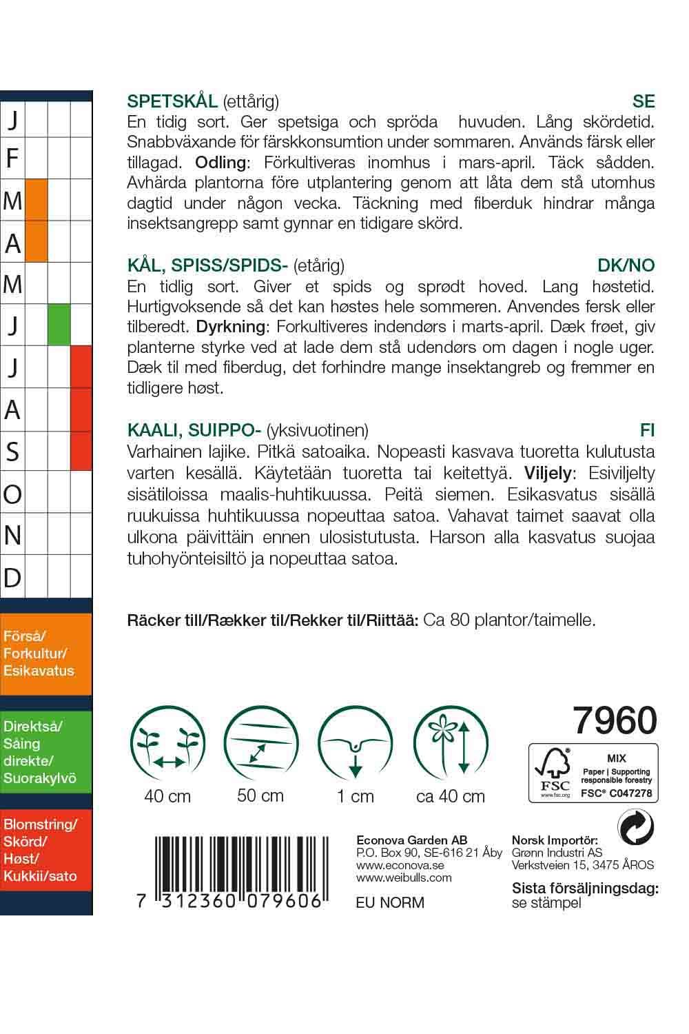 Kål, Spets- vit Brassica oleracea