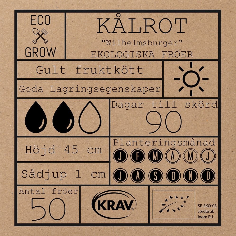 Kålrot