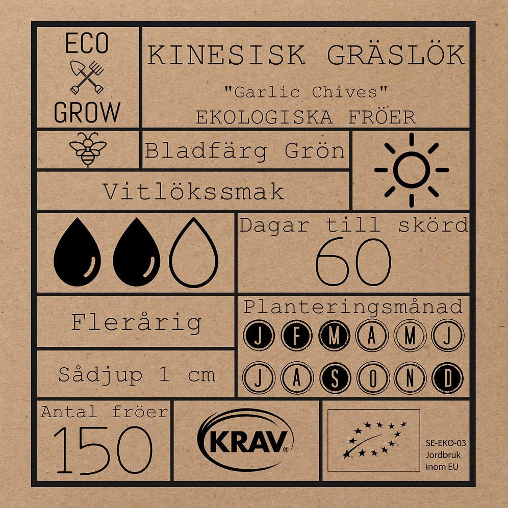 Kinesisk gräslök