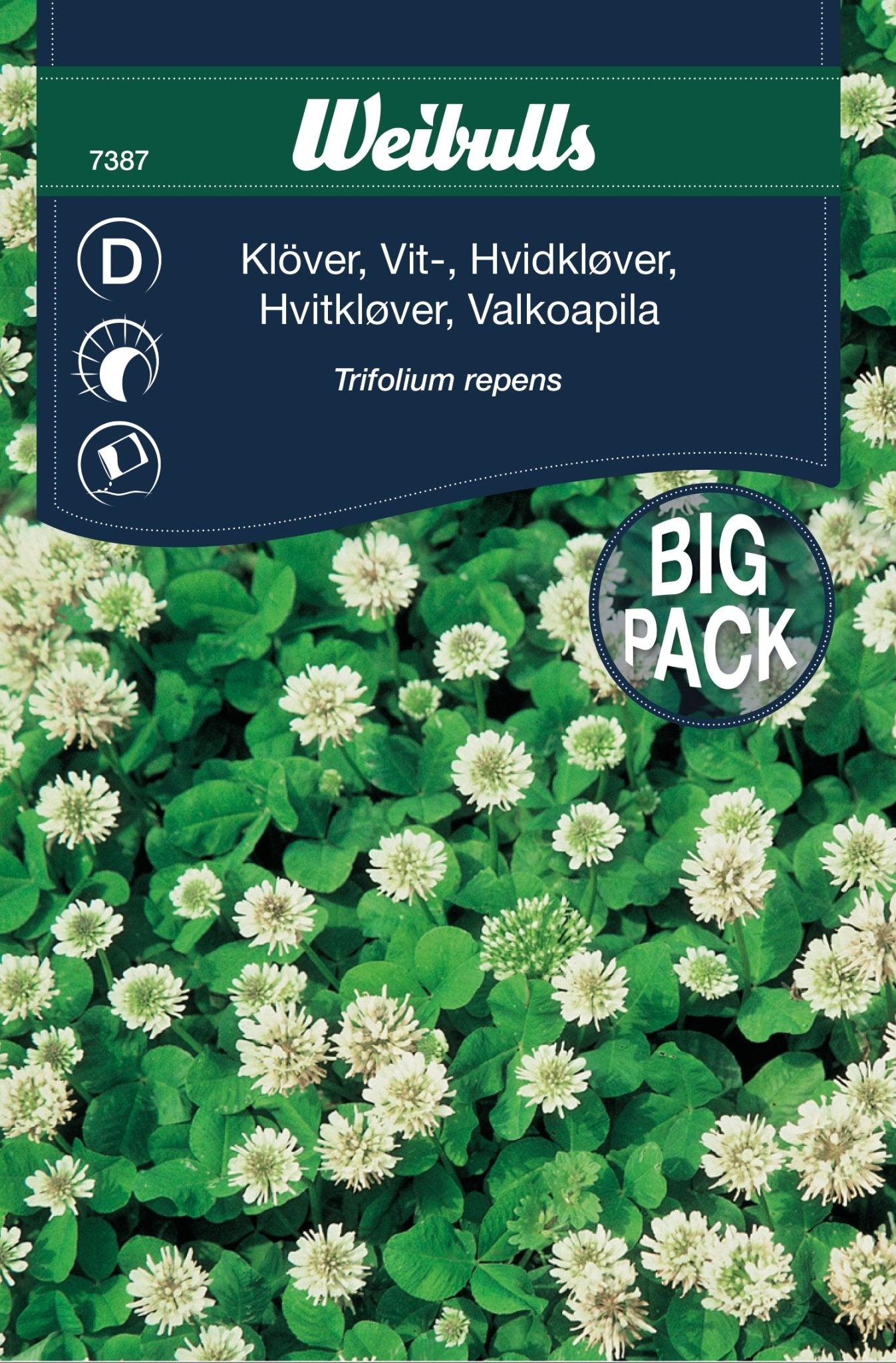 Klöver, vitklöver storpo