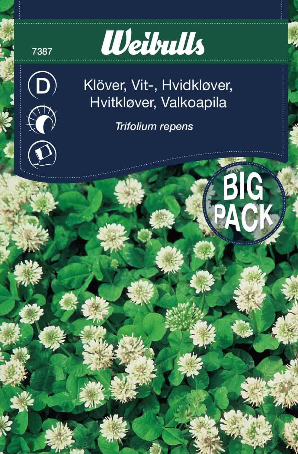 Klöver, vitklöver storpo