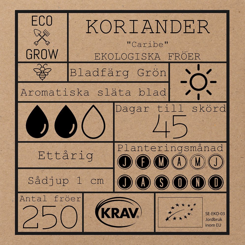 Koriander