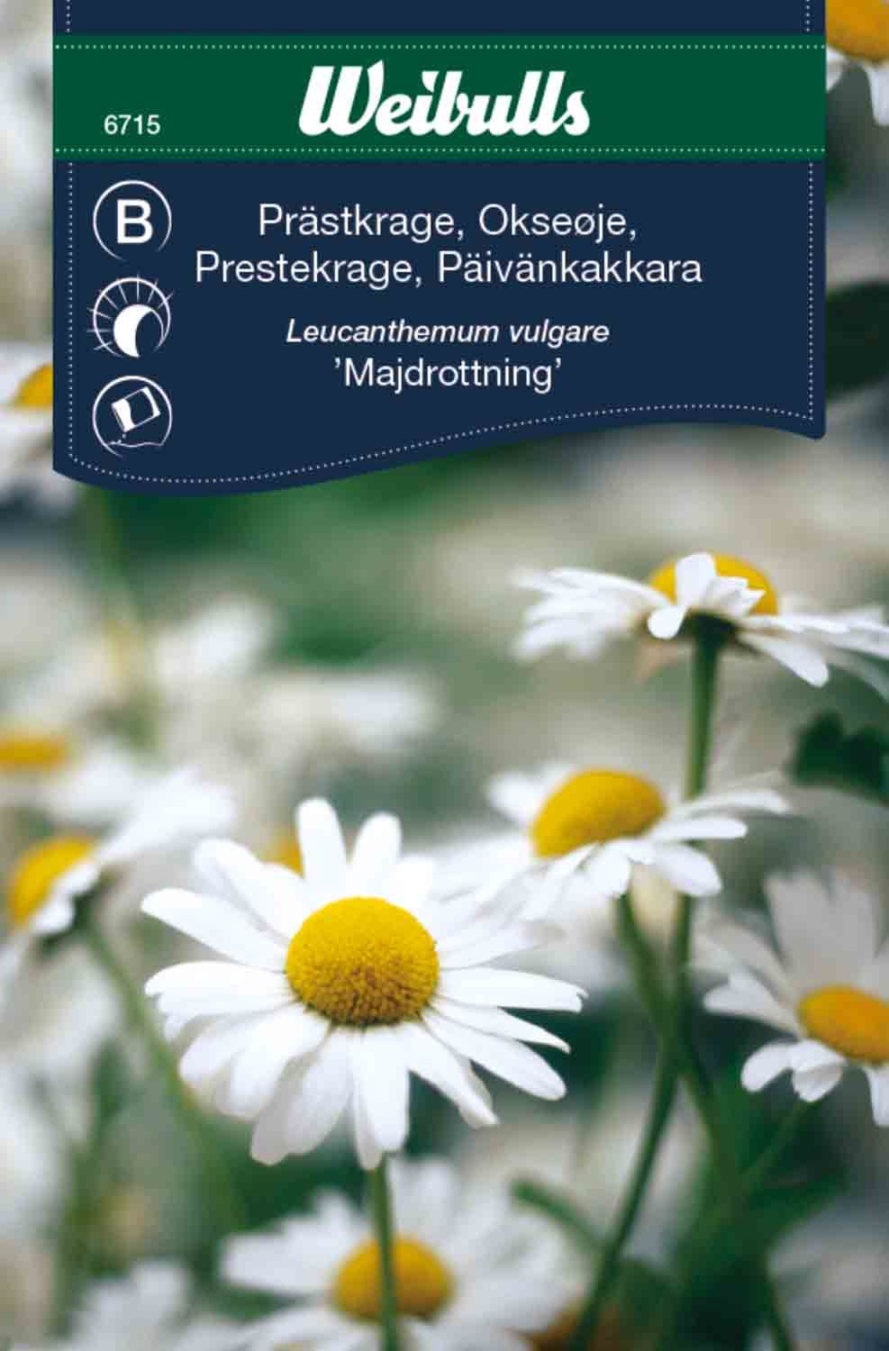 krage, Präst-