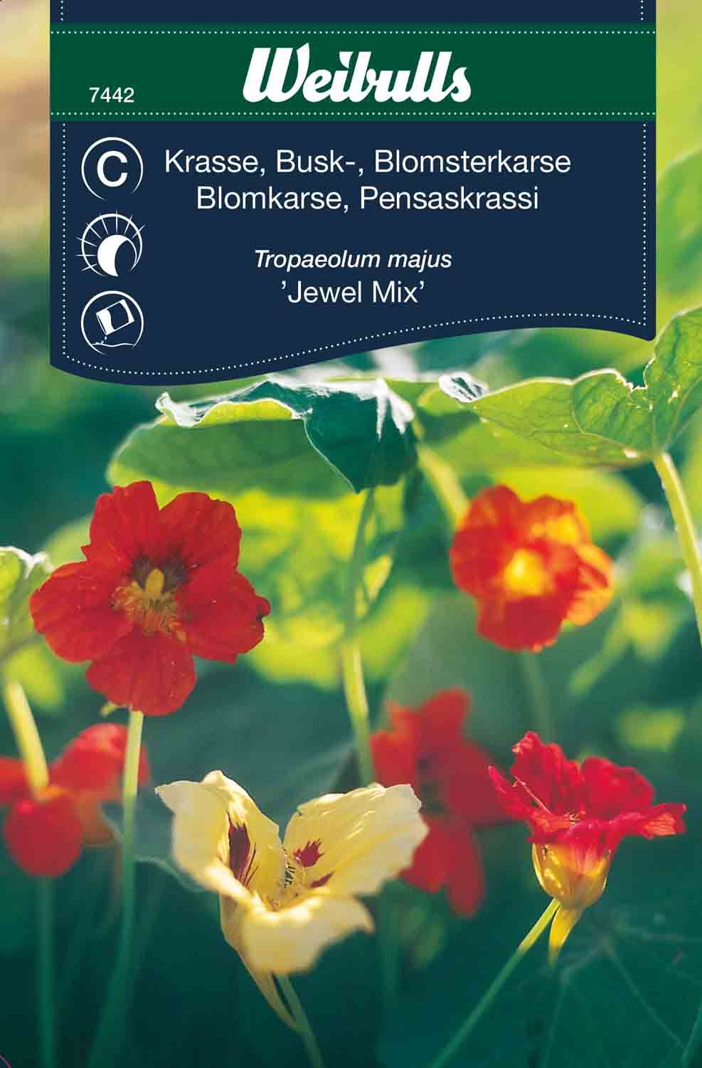 Krasse bland busk