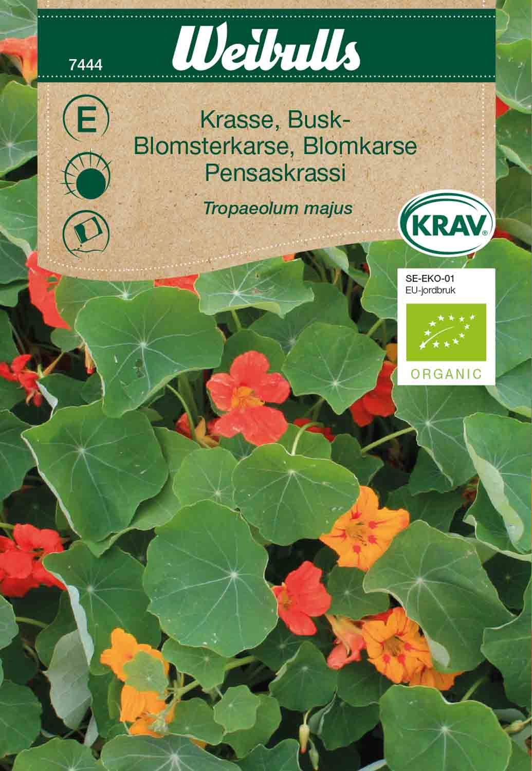 Krasse busk KRAV
