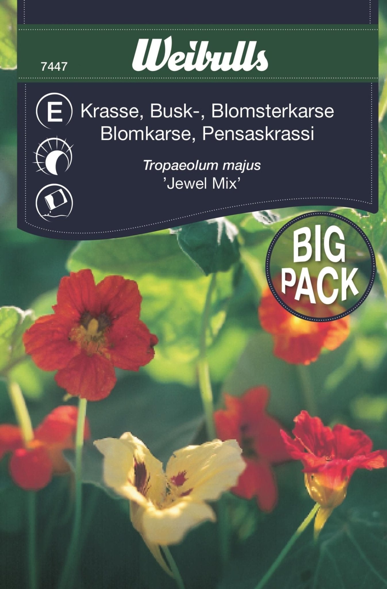 Krasse busk storport