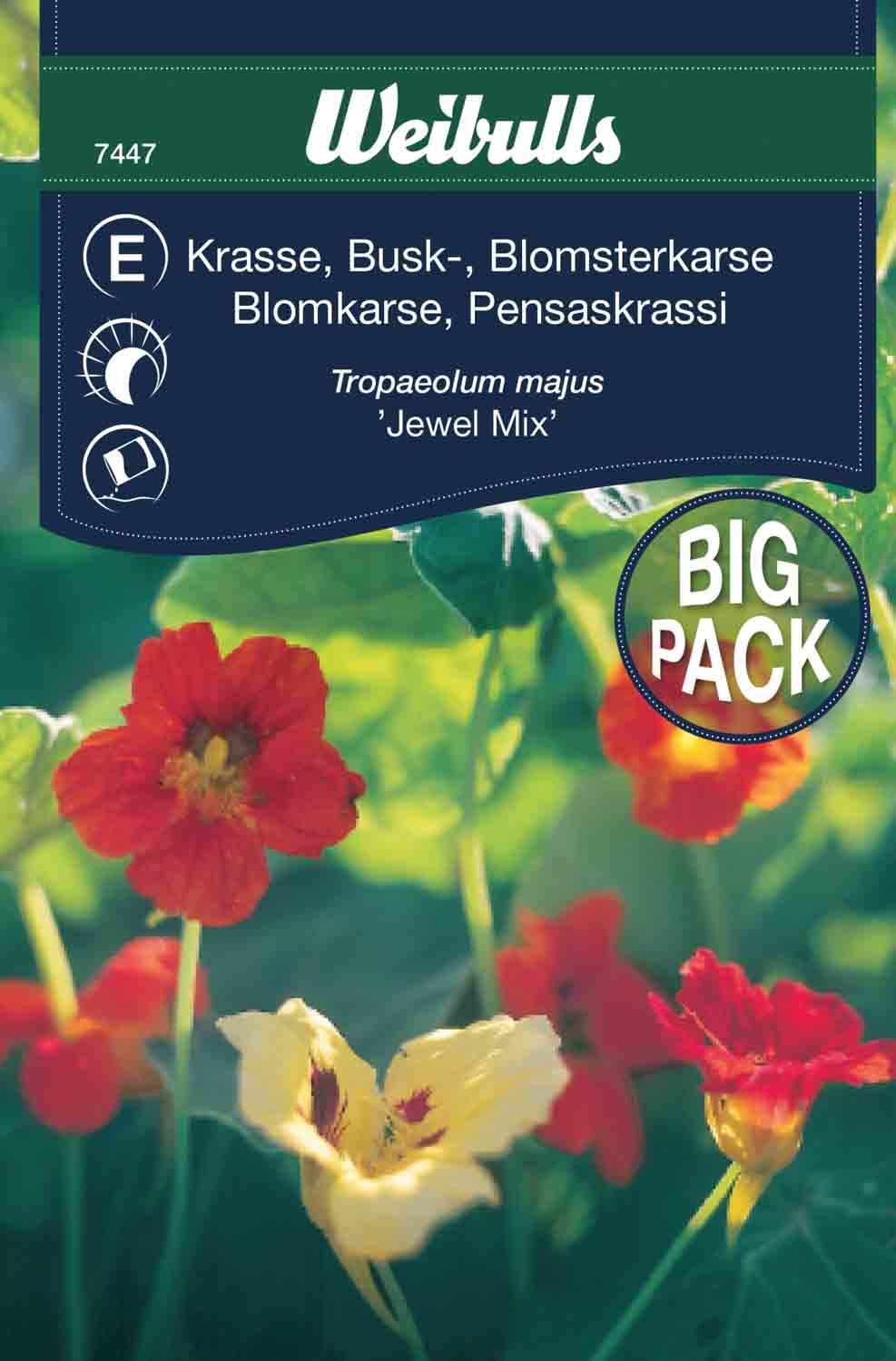Krasse busk storport