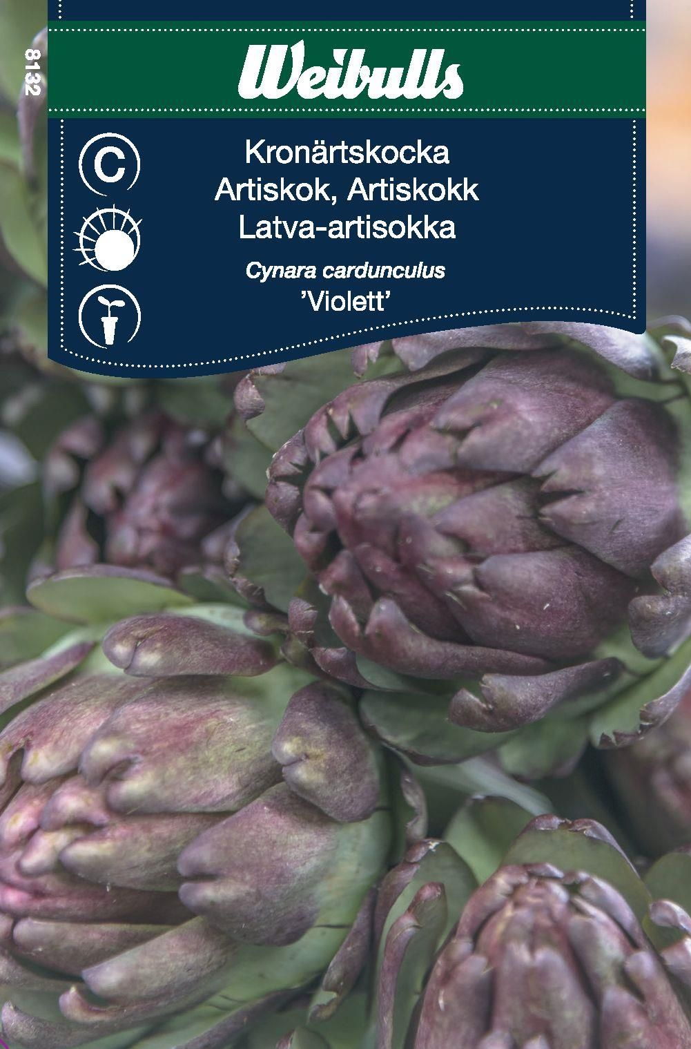 Kronärtskocka Violet de Provence