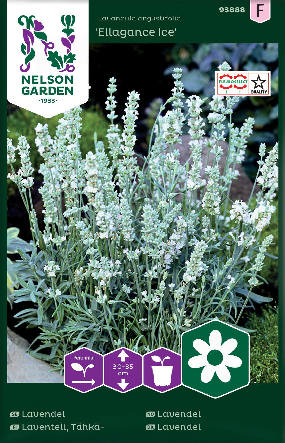 Lavendel
