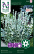 Lavendel