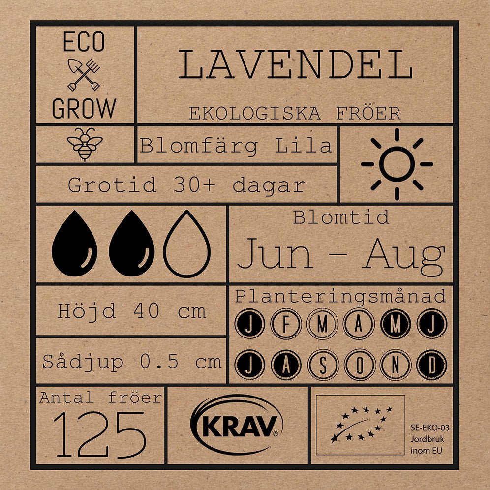 Lavendel