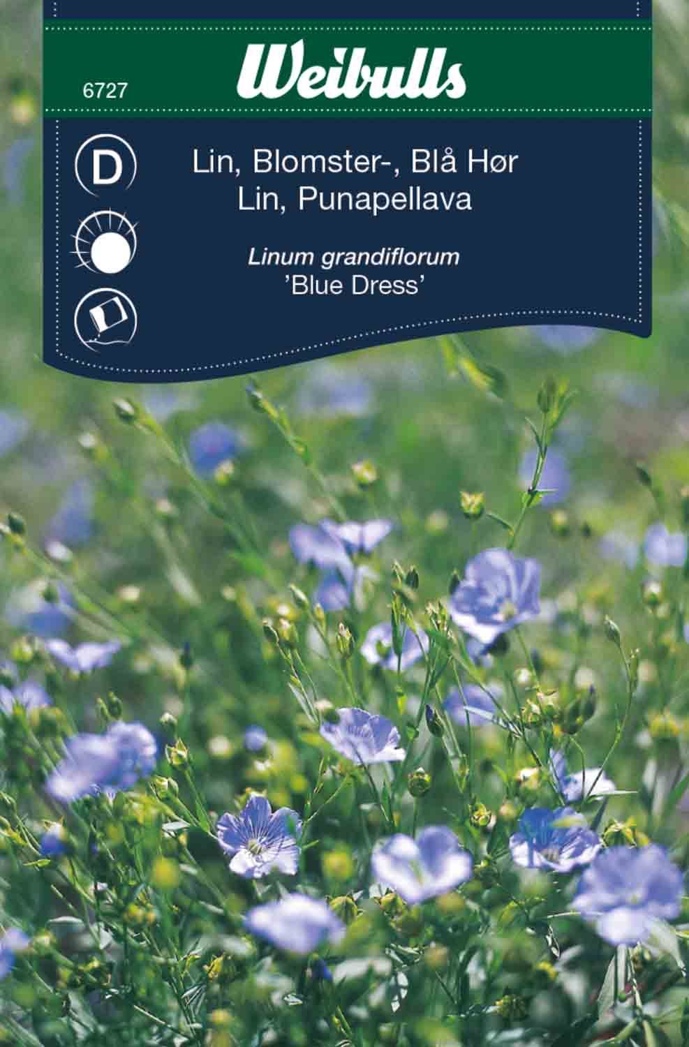 Lin blå blomster
