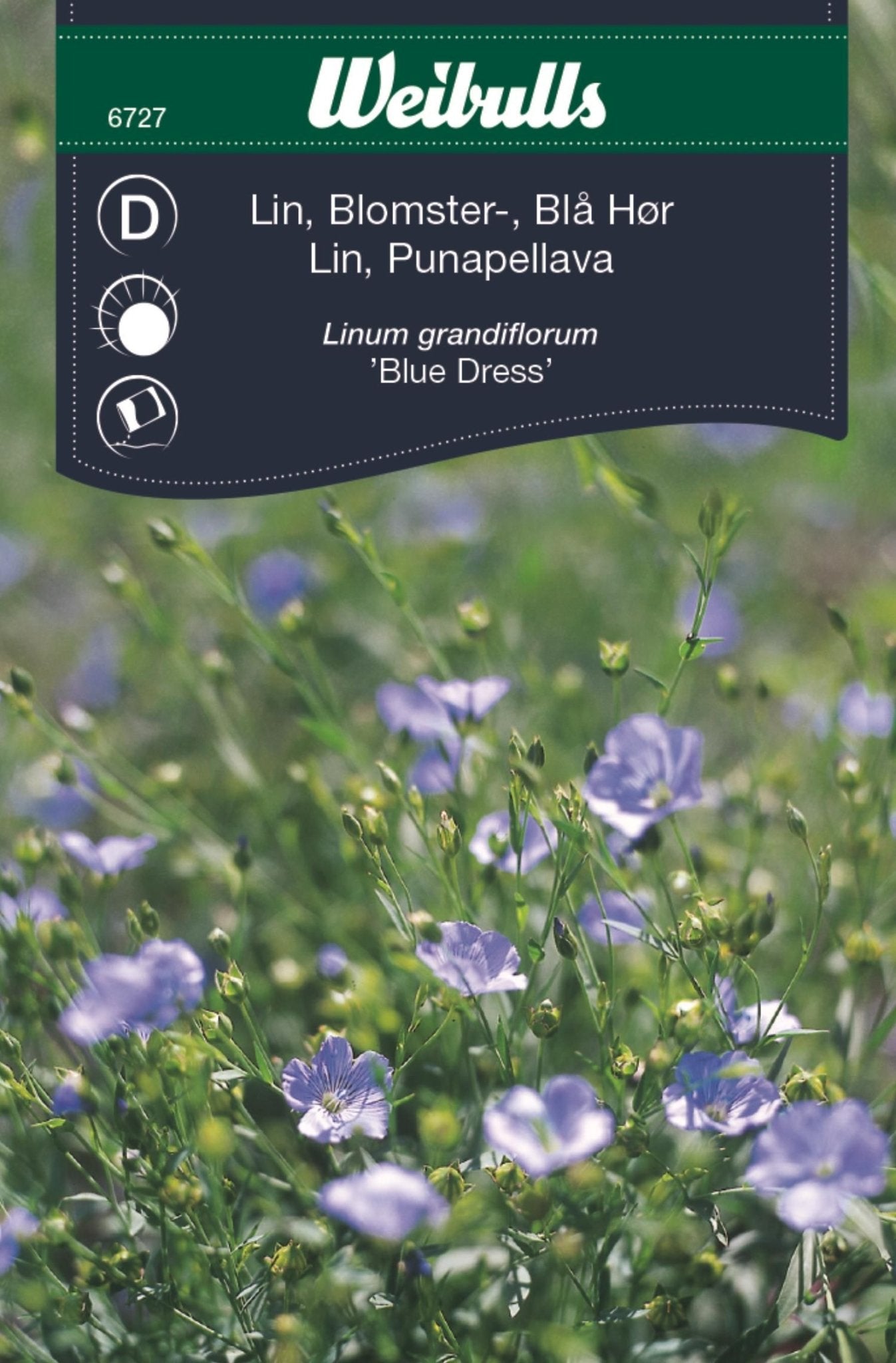 Lin blå blomster