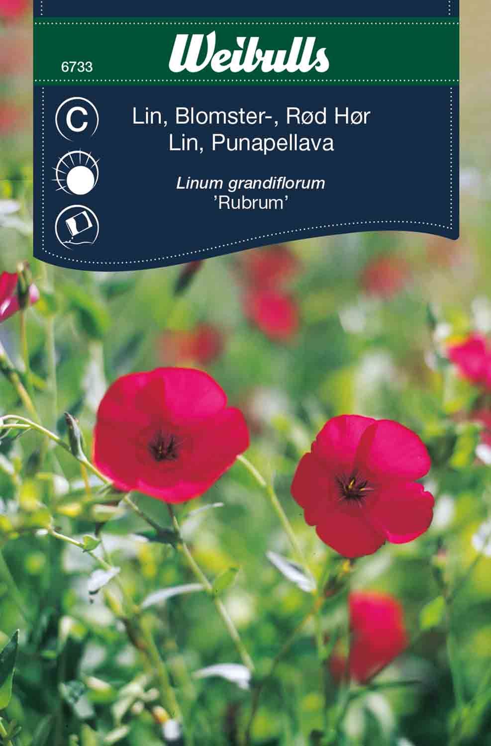 Lin röd blomster