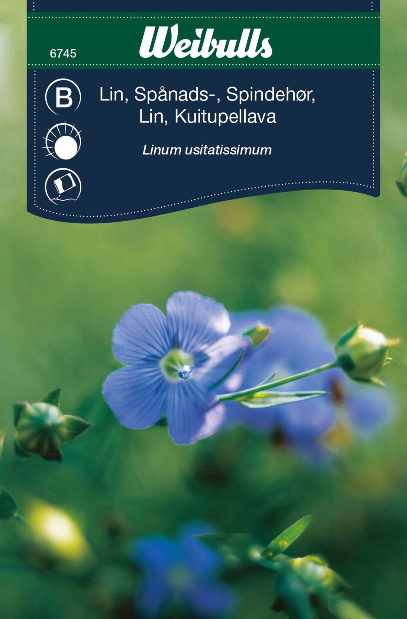 Lin spånads