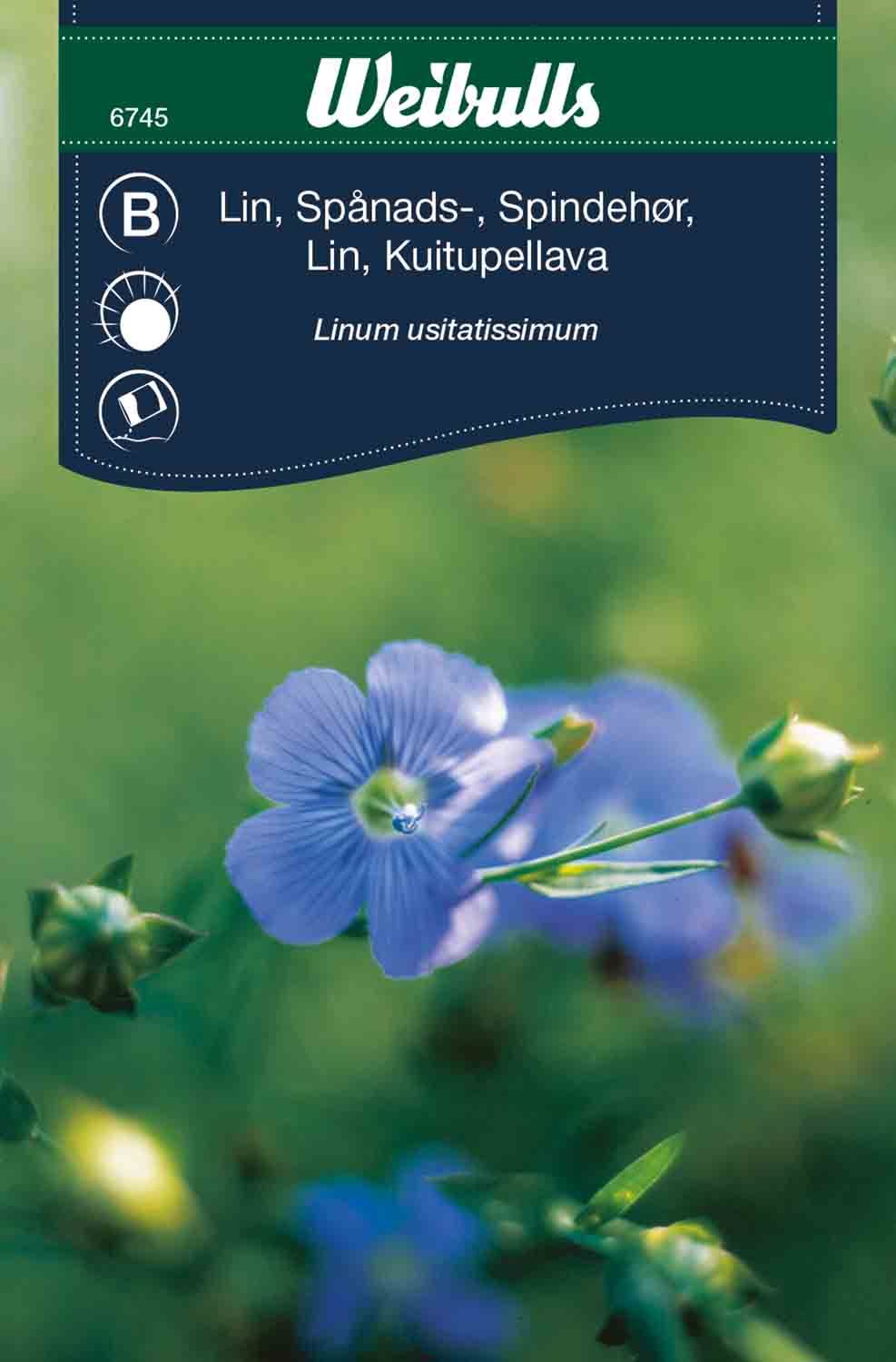 Lin spånads