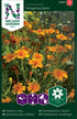 Liten tagetes / Kryddtagetes