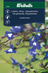 Lobelia blå häng