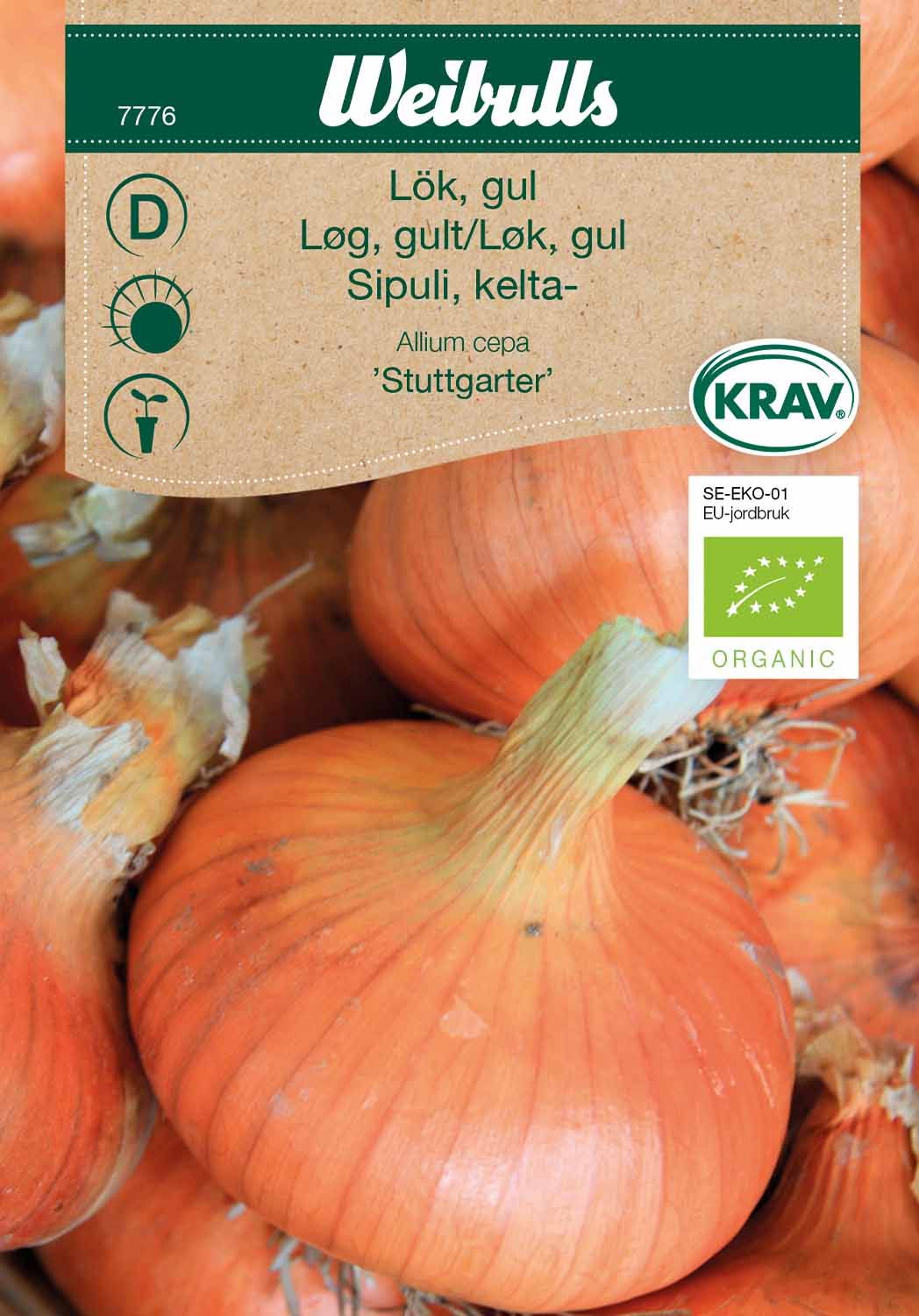 Lök, gul KRAV