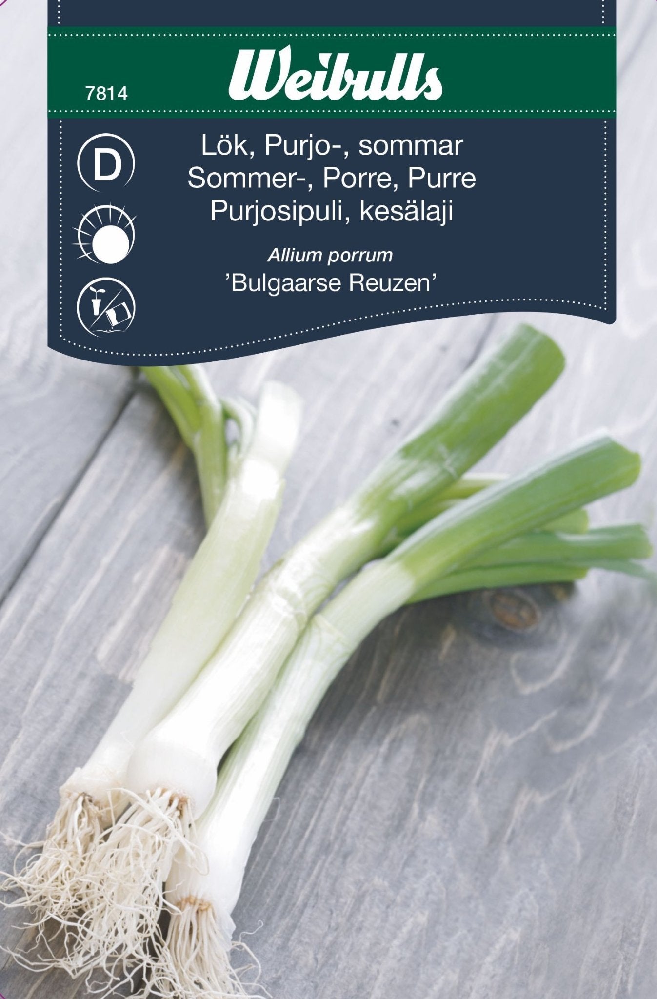 Lök, purjo, sommar Bulga