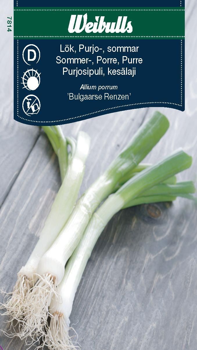 Lök, purjo, sommar Bulga