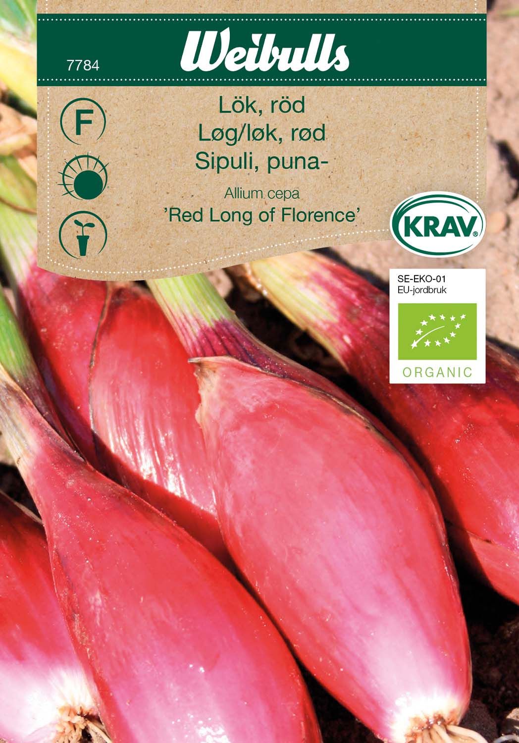 Lök, röd KRAV