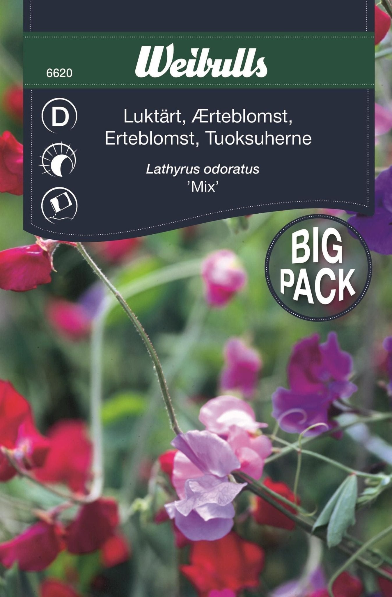 Luktärt bland storport